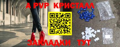 стаф Кунгур