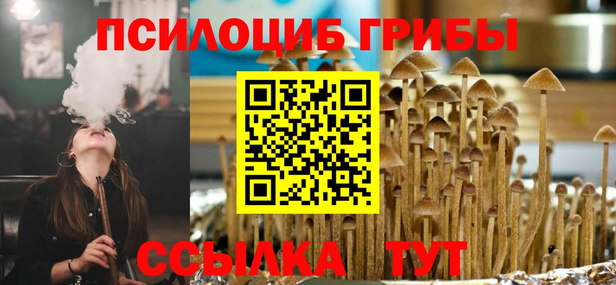 Псилоцибиновые грибы Psilocybine cubensis Гатчина
