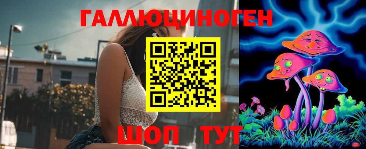 Гатчина  Псилоцибиновые грибы мухоморы  Вход с VPN  Галлюциногенные грибы Magic Shrooms 